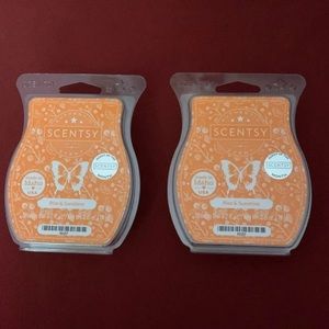 Rise and Shine Scentsy Wax Bar